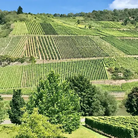 Weinlofts An Der Mosel Mit E10 Ladestation *