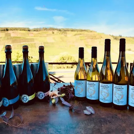 Weinlofts An Der Mosel Mit E10 Ladestation Apartamento *