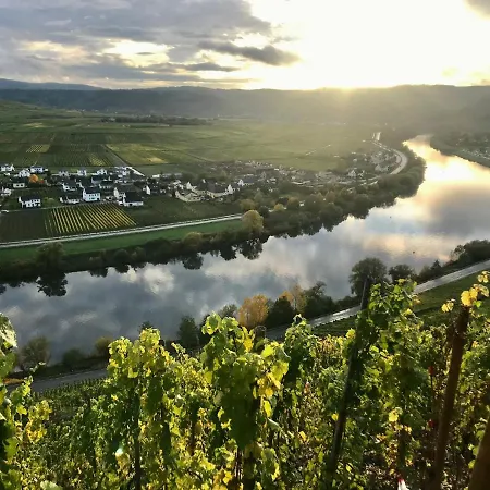 Weinlofts An Der Mosel Mit E10 Ladestation Köwerich