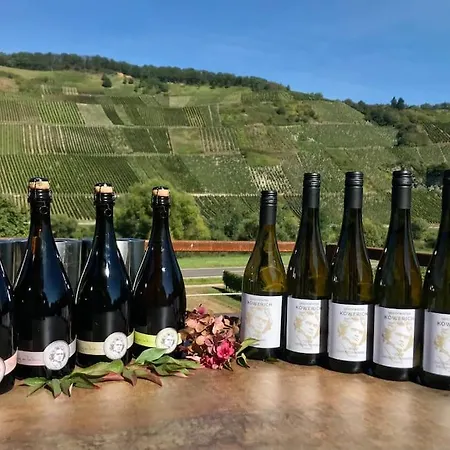 Apartamento Weinlofts An Der Mosel Mit E10 Ladestation *