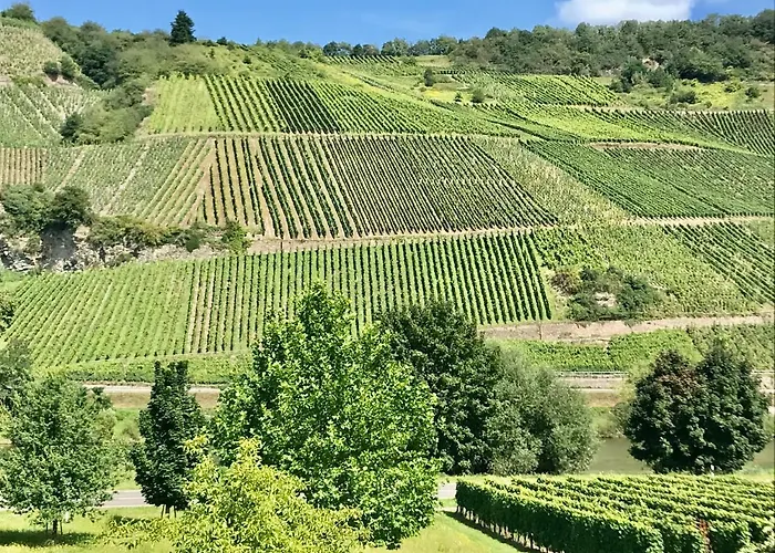 Weinlofts An Der Mosel Mit E10 Ladestation *