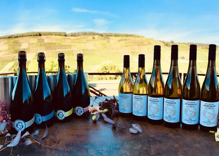 Weinlofts An Der Mosel Mit E10 Ladestation Appartement *