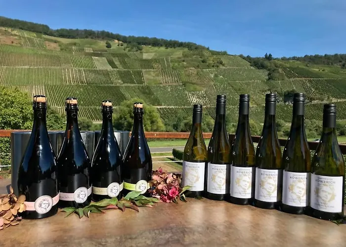 Appartement Weinlofts An Der Mosel Mit E10 Ladestation *